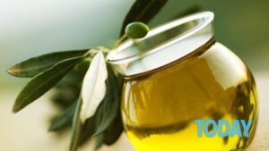 Aceite de oliva: así es como se usa para el cuidado y la belleza del cuerpo
