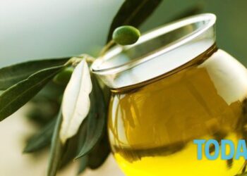 Aceite de oliva: así es como se usa para el cuidado y la belleza del cuerpo